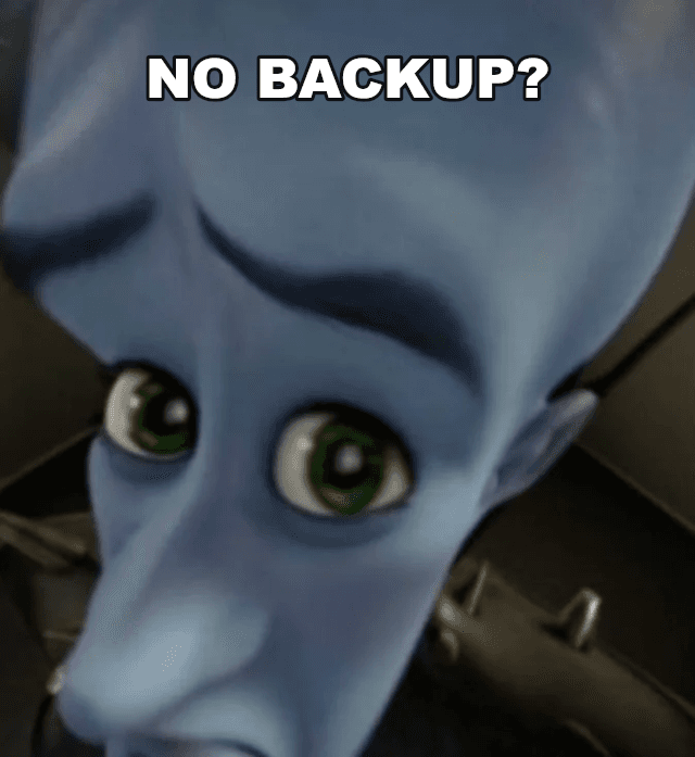 No Bitches? example: NO BACKUP?