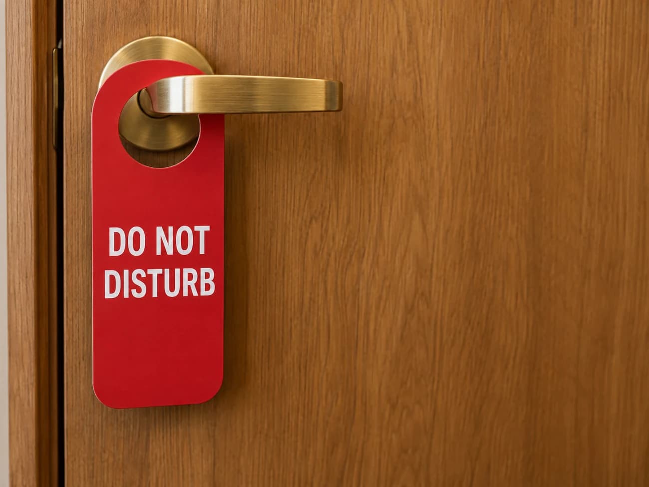 Do Not Disturb meme template thumbnail