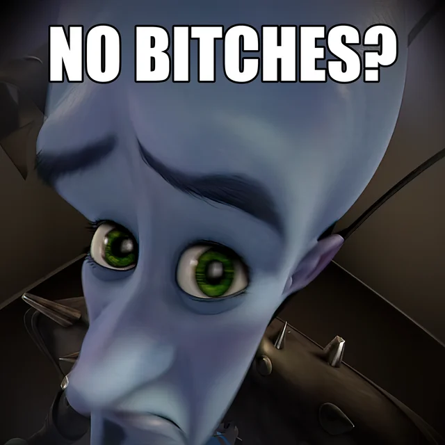No Bitches? meme template thumbnail