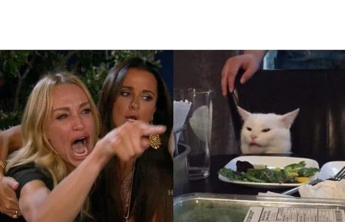 Woman Yelling at Cat meme template thumbnail